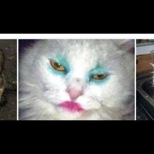 Meet your Posher, Marianella